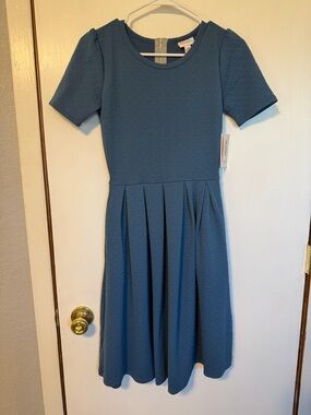 LuLaRoe Steel Blue Textured Amelia Fit & Flare Dress